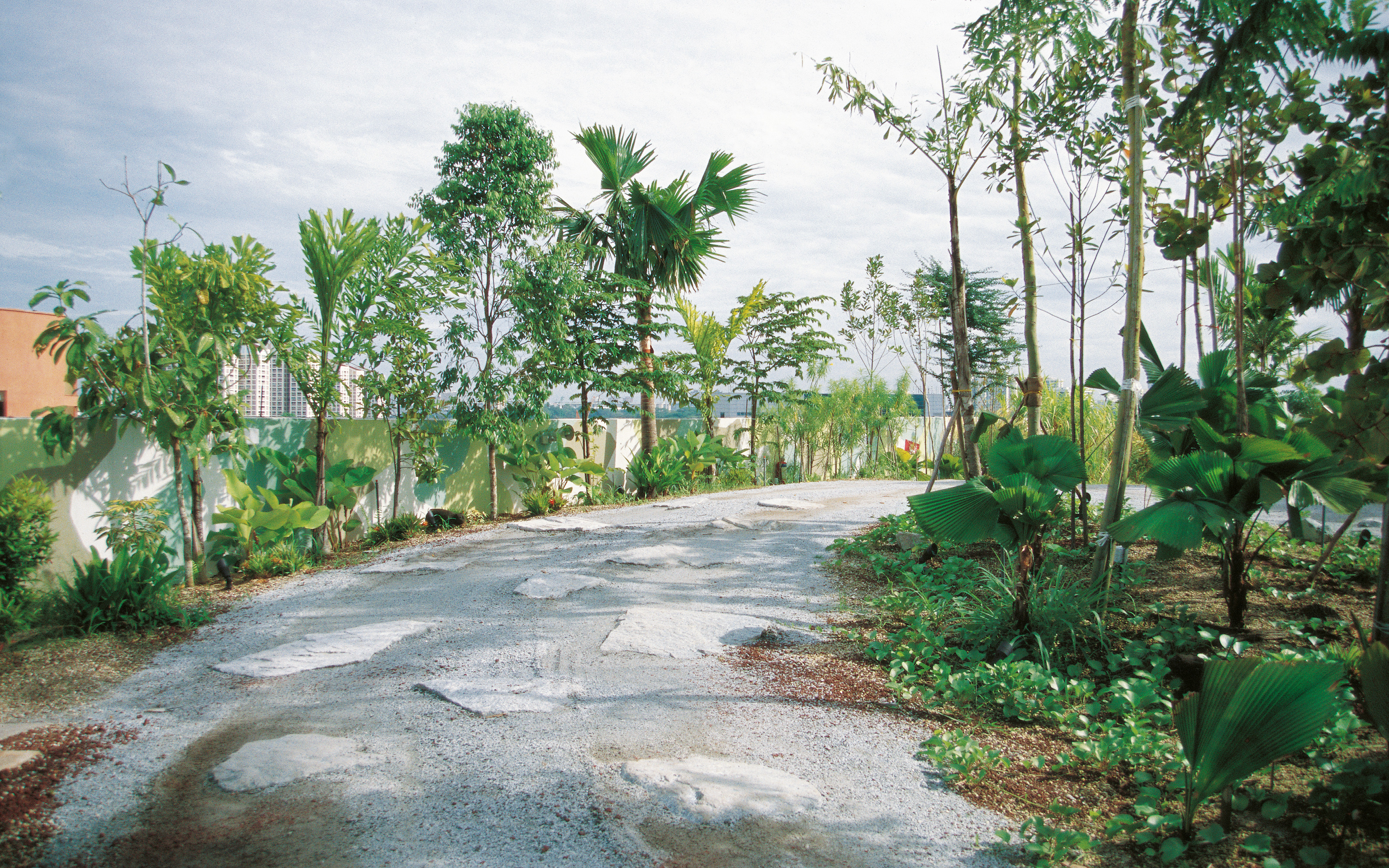 Challenging obstacles were built along the circuit, such as humps and rocks. Palmtrees along a road with humps and rocks on a rooftop